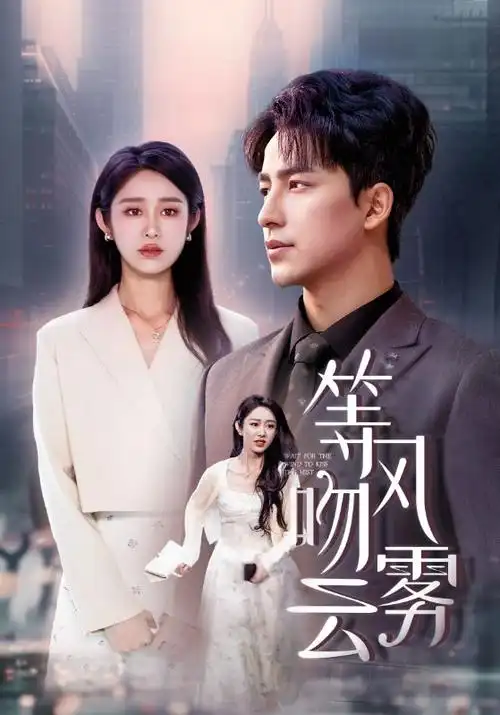 繁花 作品档案配图